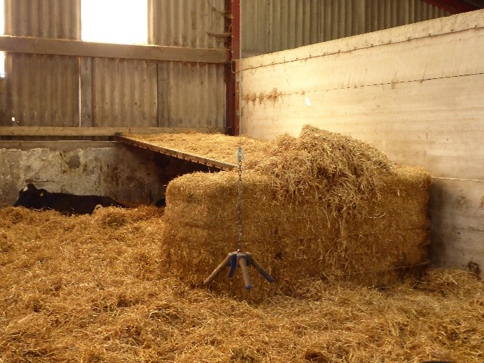 A well bedded pen containing a large straw bale which supports a board between it and the wall.